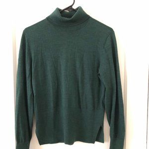 Everlane Green Wool Turtleneck